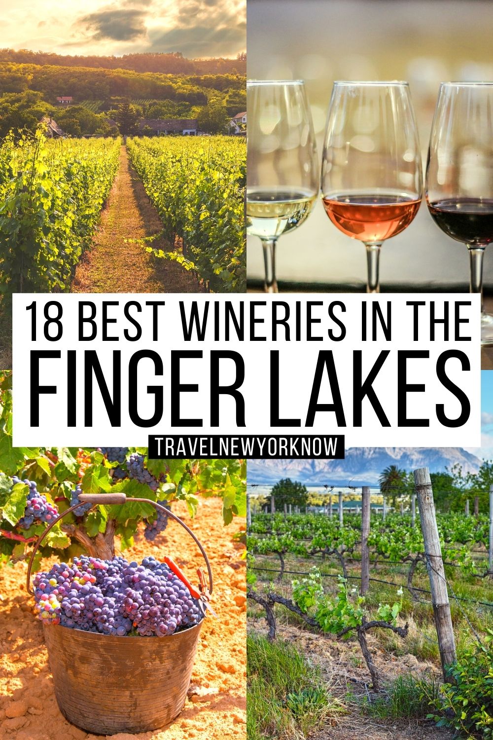 20 Best Wineries In The Finger Lakes Exquisite Local Guide   Finger Lake Winery 2 