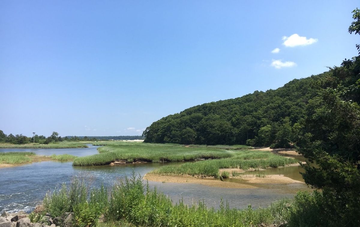 Escape to Serenity: Sunken Meadow State Park, Long Island's Hidden Gem