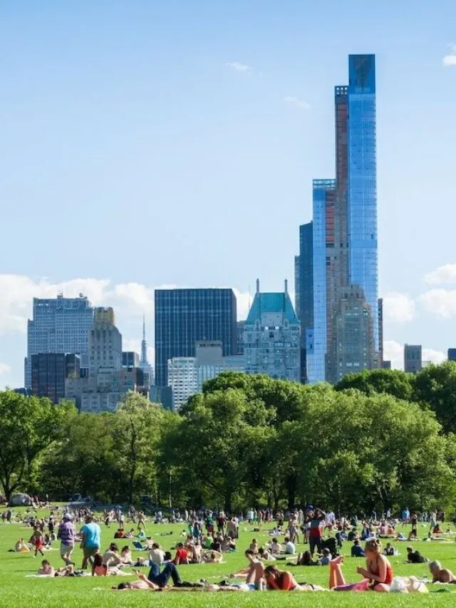 People hanging out on Sheep's Meadow in Central Park.