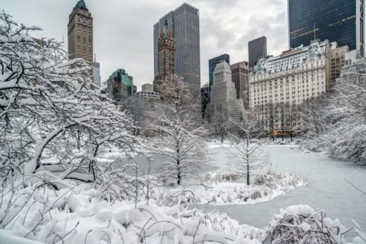 Christmas in NYC - 25 Amazing Things to do from a Local