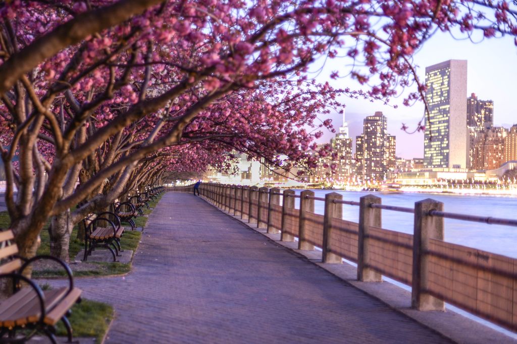 New York in April Amazing Local's Guide for 2023