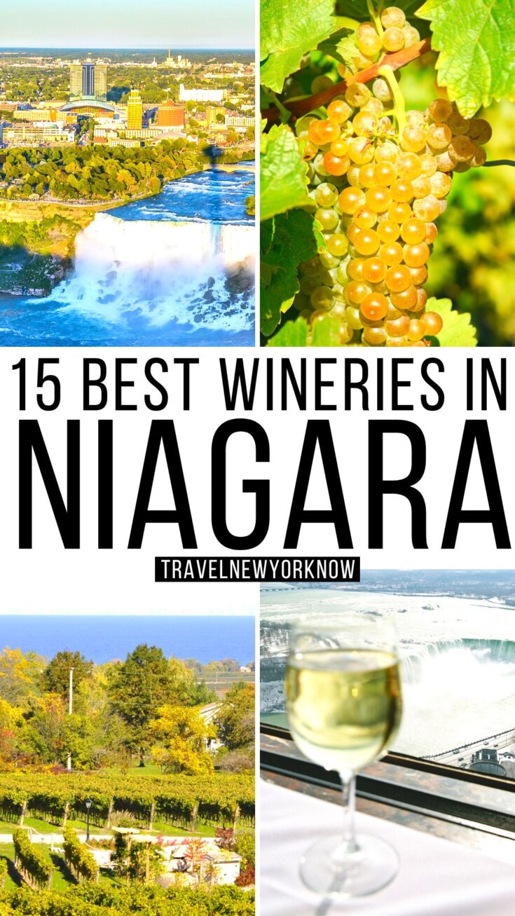 15 Best Wineries Niagara Has To Offer In 2024 Local Tips   Niagara Wineries 1 1 735x1307 