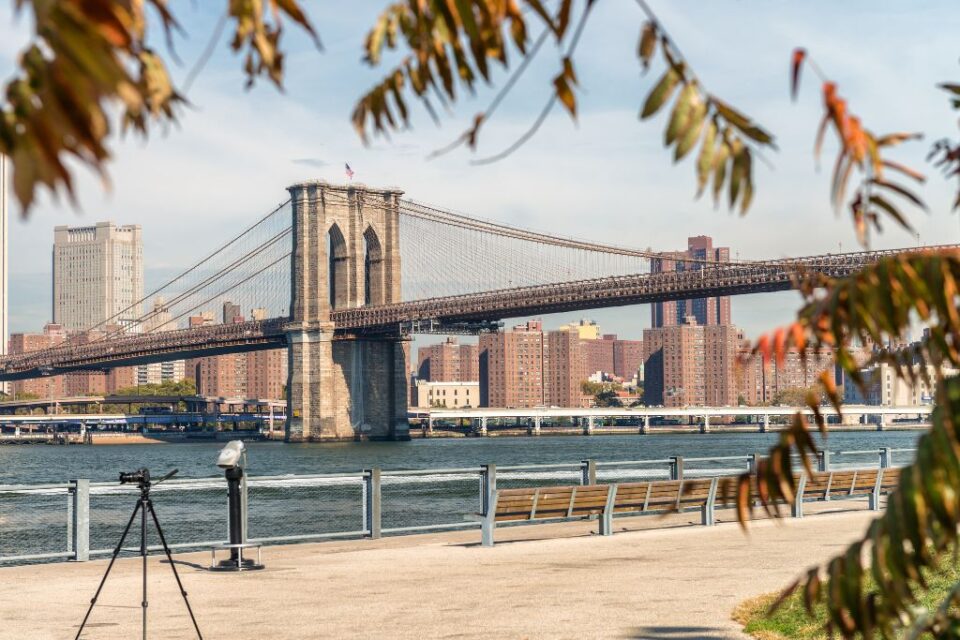 best walking tours of brooklyn