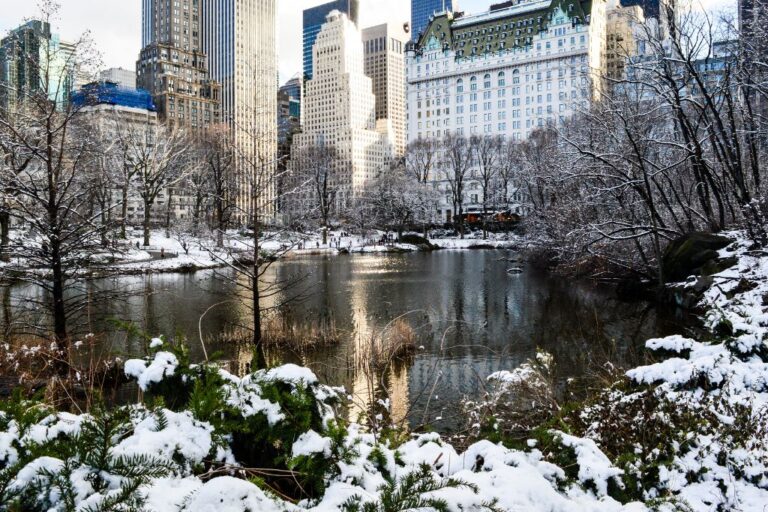 22 Amazing Things to do in Central Park in Winter in 2023