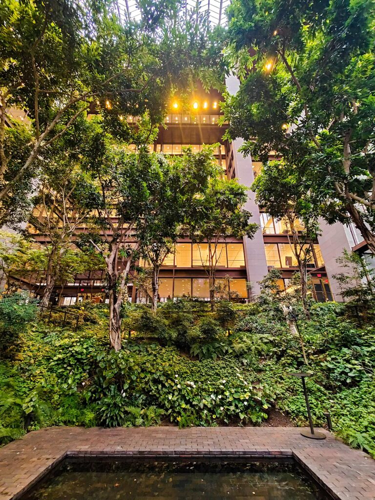 View of the incredible indoor rainforest and garden at the Ford Foundation. 