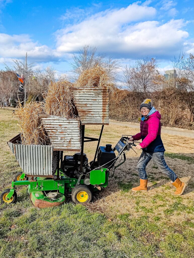 View of my pushing an old lawn mower that has been turned into art on a sunny day in Queens. I am wearing a pink winter jacket with jeans and boots. 