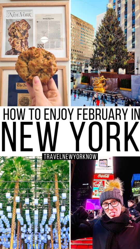 New York City in February 15 Best Things to do from a Local