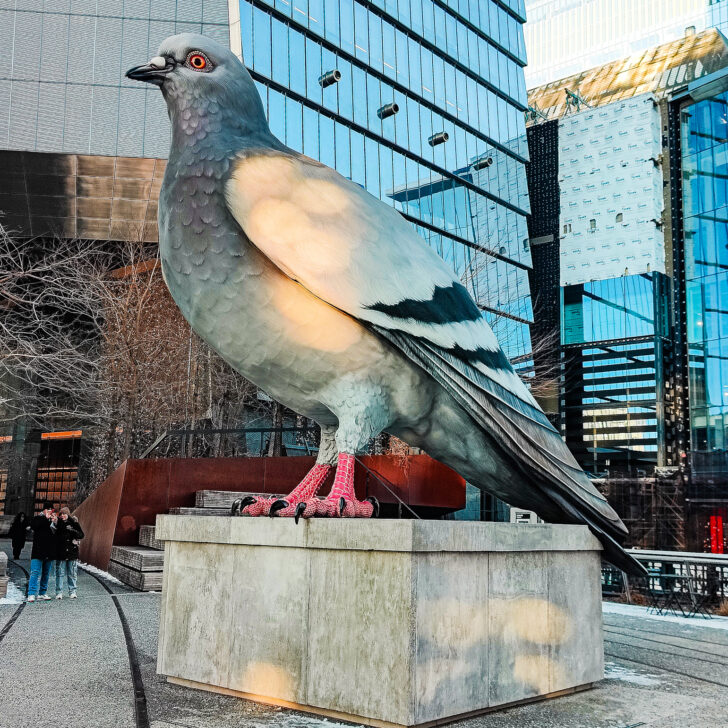 View of a giant pigeon statue sitting along the Highline in NYC.